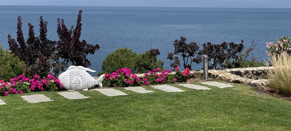 Εγκατάσταση έτοιμου χλοοτάπητα και αρδευτικού συστήματος Εγκατάσταση έτοιμου χλοοτάπητα και αρδευτικού συστήματος
